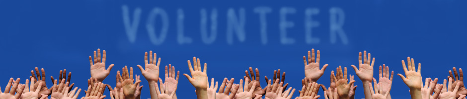 Group of Raised hands with the word Volunteer written in the sky