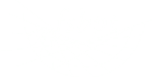 FSBPT